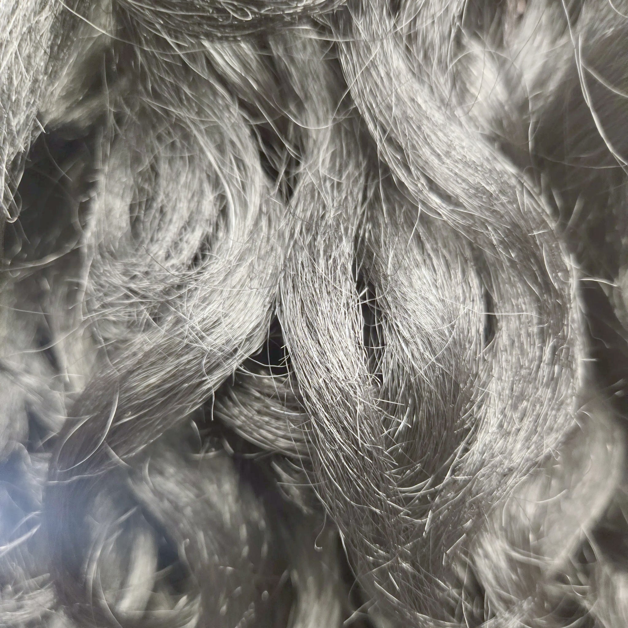 Close detail of the wave pattern on Tresspoint Full Bloom in 1B off black
