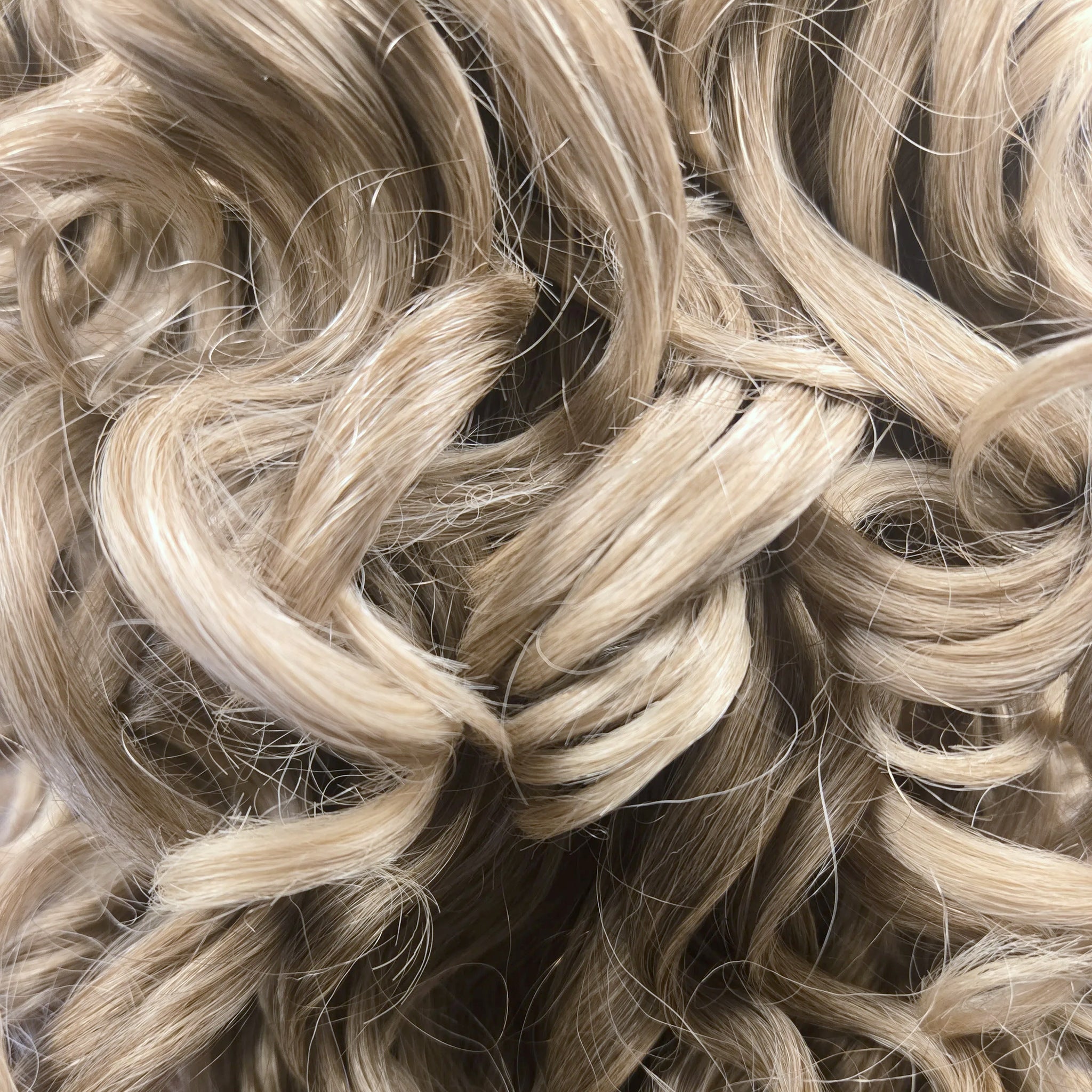 Close detail of the curl pattern on Tresspoint Full Bloom in R6/613 blonde